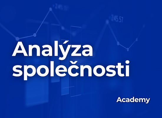 Jak úspěšně analyzovat společnost: Průvodce pro začínající investory