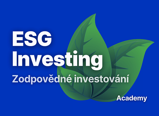 Udržitelné investování: Cesta k odpovědným a ziskovým investicím