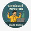 Obyčejný investor