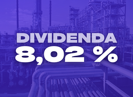 ČÁST 5: Ukázková analýza projektu Bulios Dividends