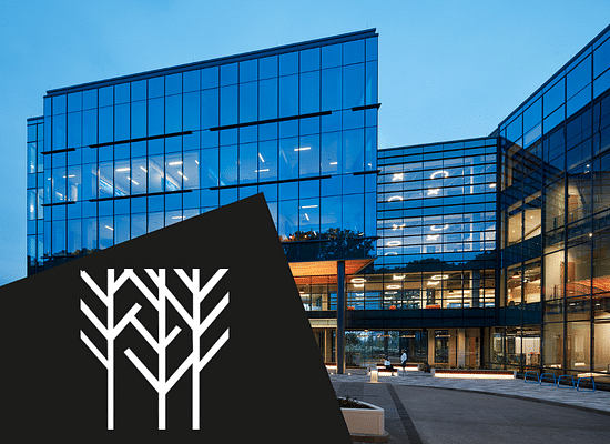 Offices and yields: REIT with a dividend of 6.85%