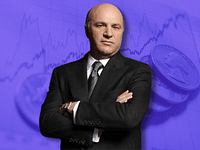Kevin O'Leary claims that the government has nationalised the banking sector. Instead, it favours this type of stock.