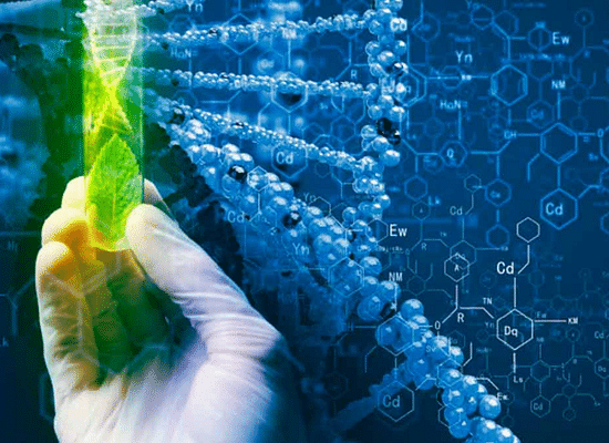 3 biotech stocks with potential for further growth