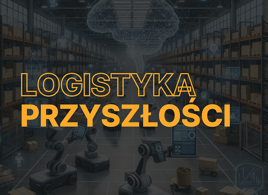 Gigantyczny potencjał wzrostu: rewolucja w automatyzacji magazynów