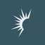 Solaris Energy Infrastructure, Inc.