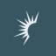 Solaris Energy Infrastructure, Inc.