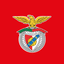 Sport Lisboa e Benfica - Futebol, SAD