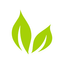 Bright Green Corporation
