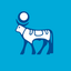 Novo Nordisk